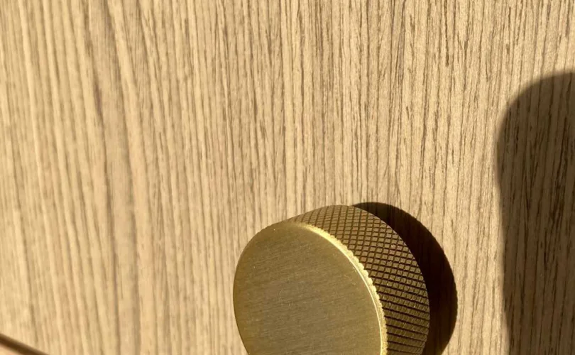 Ebab5e99 2ee5 4f22 95f0 fd45757edad3